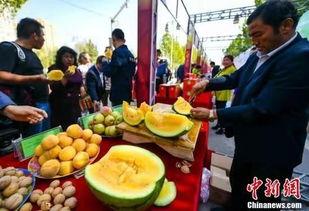 河北吃瓜事件最新,揭秘背后真相与网络舆论风暴