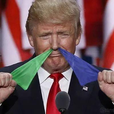 威尔史密斯吃瓜群众,揭秘明星与粉丝的趣味互动