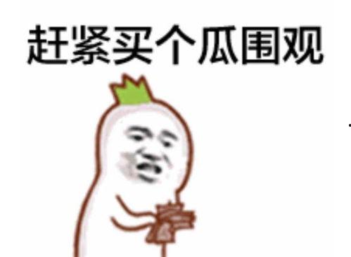 桂林吃瓜群众视频,一网打尽本地美食风情