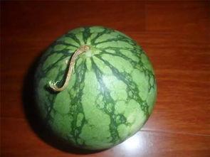 今日吃瓜每天必看大瓜,揭秘今日吃瓜大瓜，热点事件一网打尽