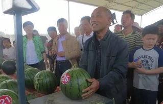 大馆陶吃瓜群众,吃瓜群众的欢乐盛宴