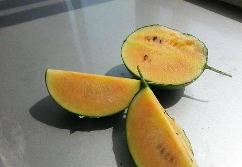 吃瓜彩虹圈,揭秘美食与生活的甜蜜碰撞